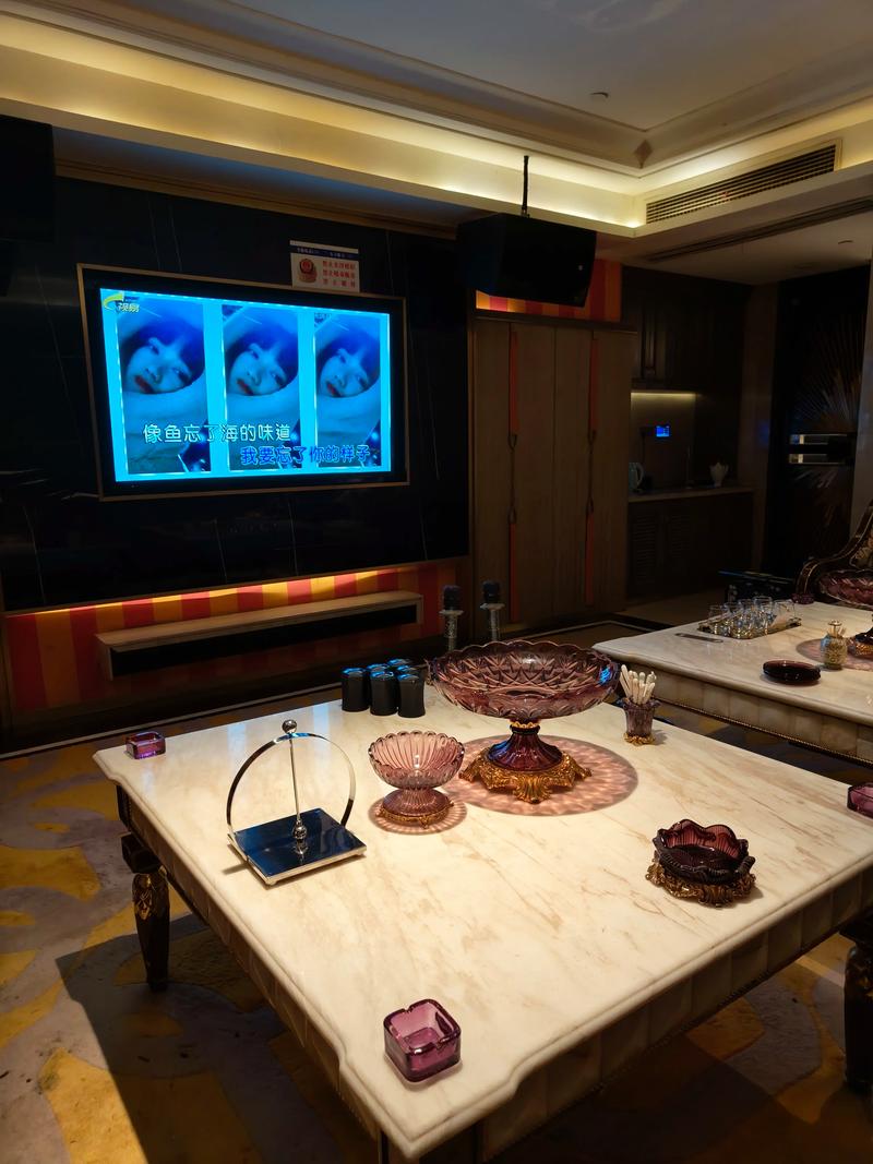 防城港商务KTV与片场的区别-上思县ktv预定